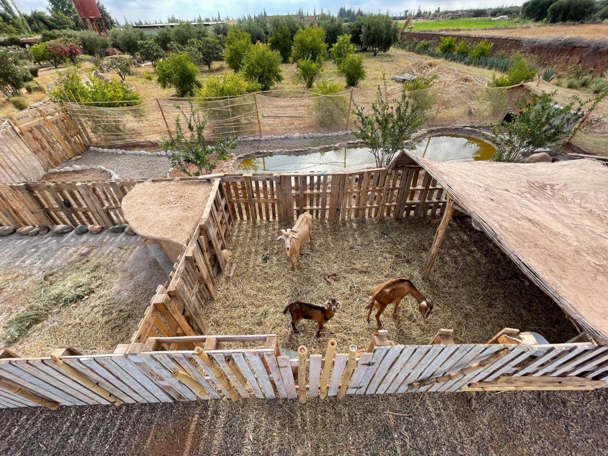 El Harkat Jnan Lotf Marrakech - Le Jardin De La Bienviellance酒店 外观 照片