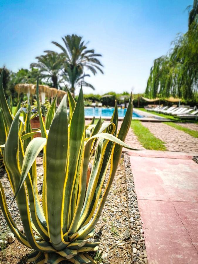 El Harkat Jnan Lotf Marrakech酒店 外观 照片