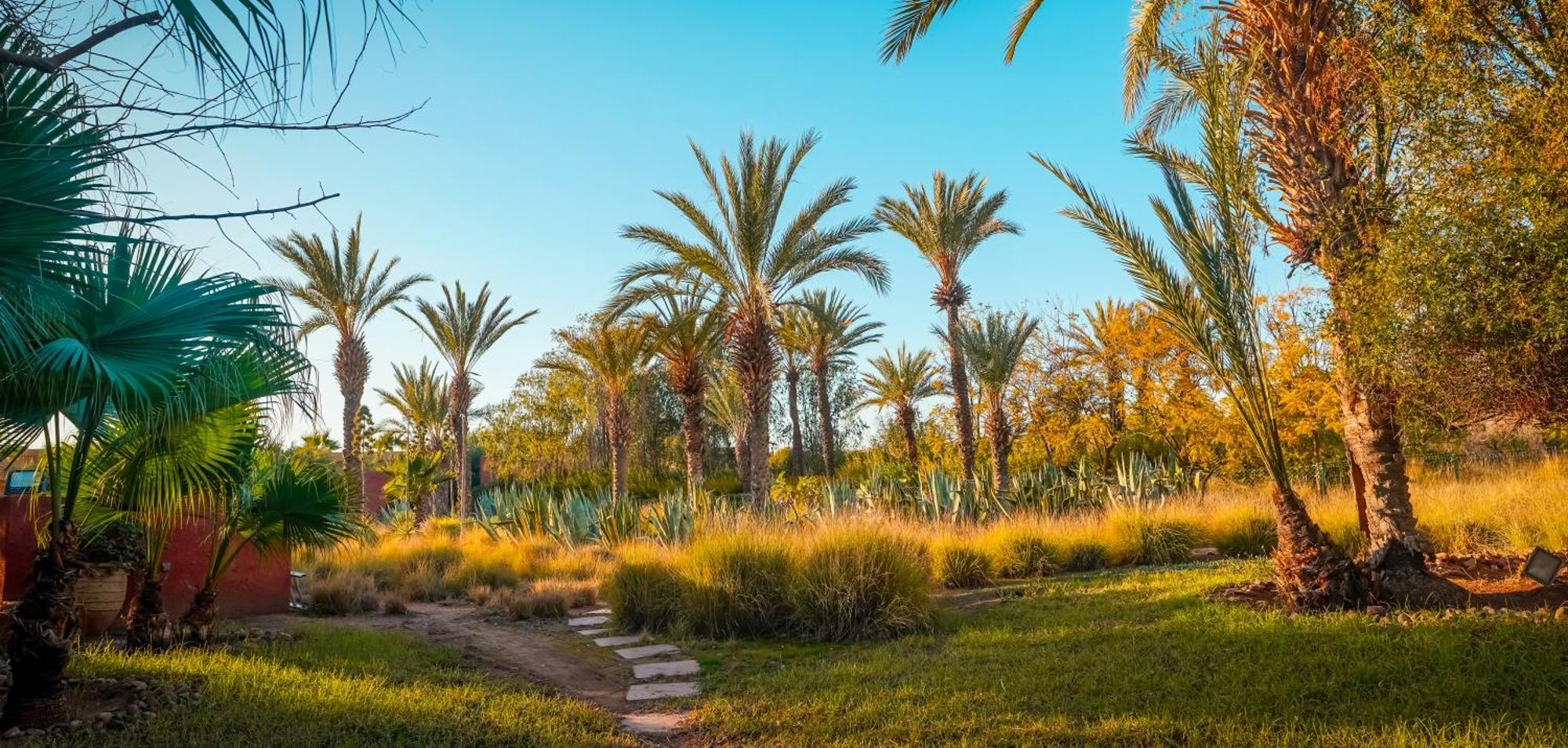 El Harkat Jnan Lotf Marrakech - Le Jardin De La Bienviellance酒店 外观 照片