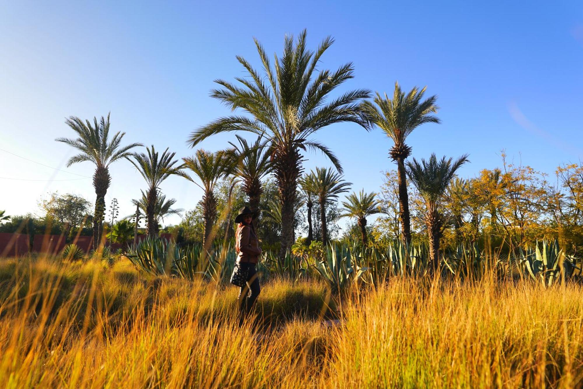 El Harkat Jnan Lotf Marrakech - Le Jardin De La Bienviellance酒店 外观 照片